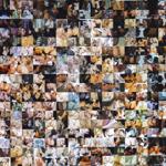 make_out_newscastle_2026_er_005 : Landscape