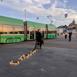 pulse_agglomerate_basel_2026_rlh_023 : Landscape