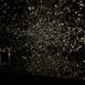 pulse_voronoi_2024_wattens_sk_005 : Landscape