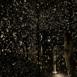 pulse_voronoi_2024_wattens_sk_012 : Landscape