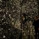 pulse_voronoi_2024_wattens_sk_017 : Landscape
