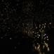 pulse_voronoi_2024_wattens_sk_019 : Landscape