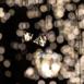 pulse_voronoi_2024_wattens_sk_089 : Landscape