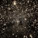 pulse_voronoi_2024_wattens_sk_094 : Landscape