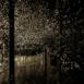 pulse_voronoi_2024_wattens_sk_097 : Landscape