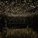 pulse_voronoi_2024_wattens_sk_110 : Landscape