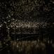 pulse_voronoi_2024_wattens_sk_112 : Landscape