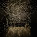 pulse_voronoi_2024_wattens_sk_123 : Landscape