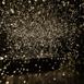 pulse_voronoi_2024_wattens_sk_134 : Landscape