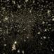pulse_voronoi_2024_wattens_sk_144 : Landscape