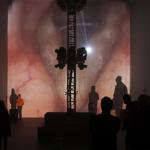 vocal_folds_chapel_hill_2021_og_010 : Landscape