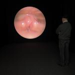 vocal_folds_sydney_2023_rlh_002 : Portrait