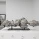 volute_sydney_2023_mk_173 : Landscape