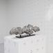 volute_sydney_2023_mk_175 : Landscape